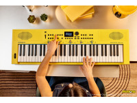 <b>Roland GO:KEYS 3 MINION - INSPIRED BY ILLUMINATION’S MINIONS</b> <b>Roland GO:KEYS 3 MINION - INSPIRED BY ILLUMINATION’S MINIONS</b>